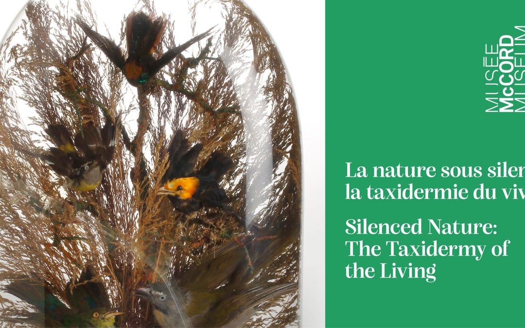 Conférence « La nature sous silence : la taxidermie du vivant »