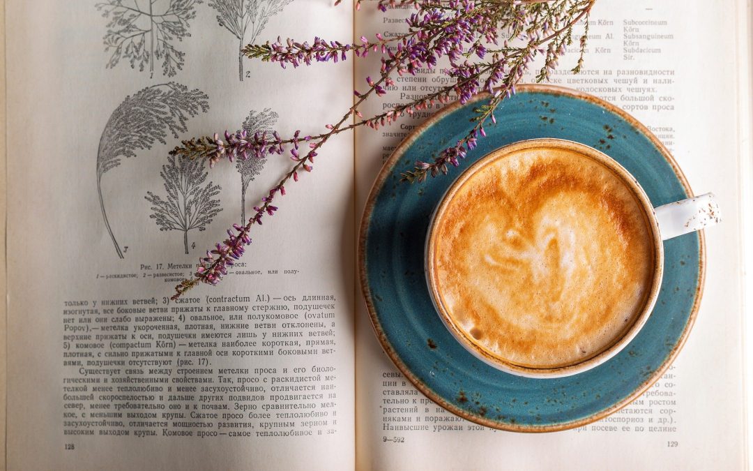 1er Café étudiant du CELAT – 15 juin 2020 à 10h