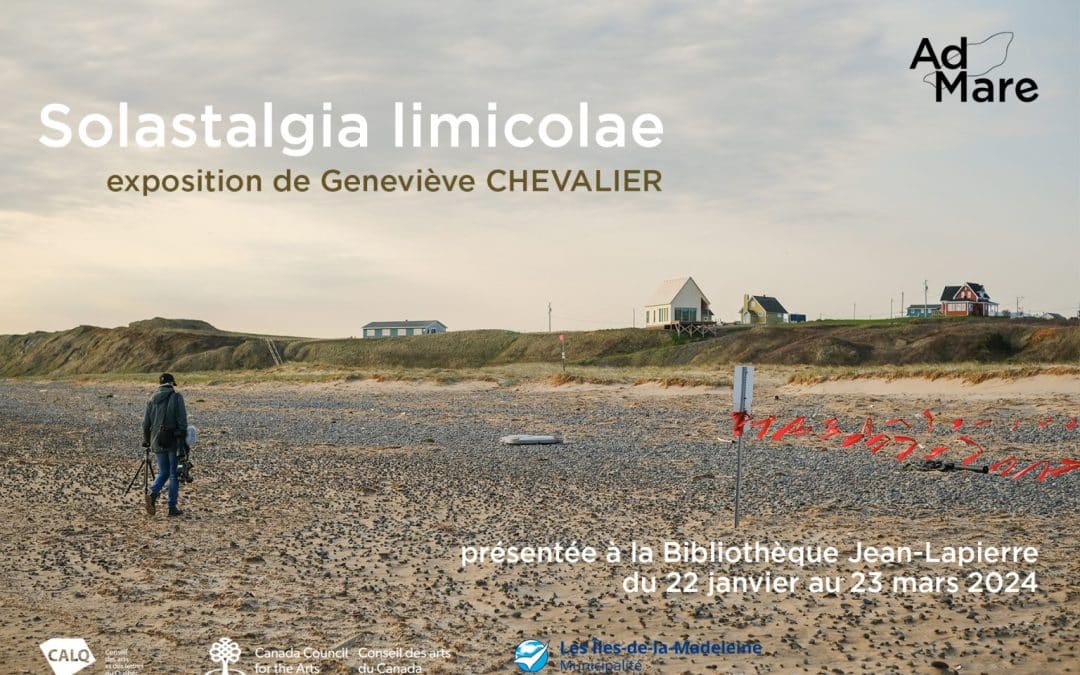 Exposition de Geneviève Chevalier Solastalgia limicolae (jusqu’au 23 mars 2024)