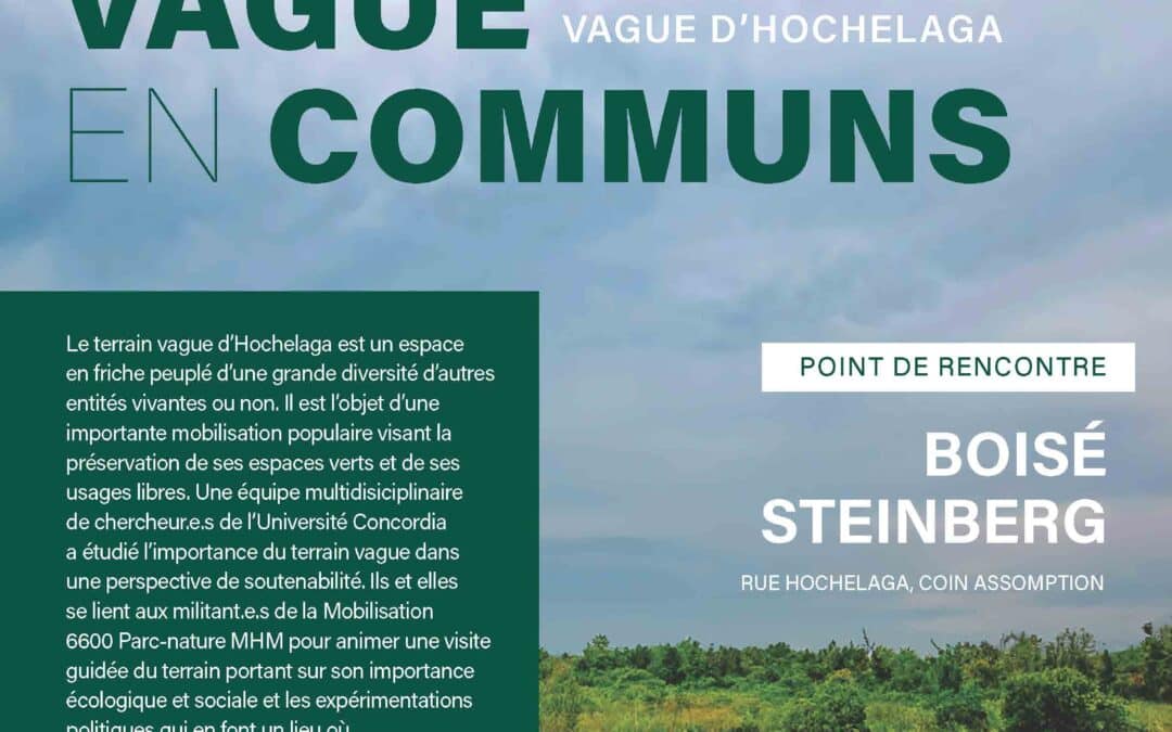 Journée de discussion avec Sophie Gosselin et David gé Bartoli, incluant une visite guidée du terrain vague d’Hochelaga