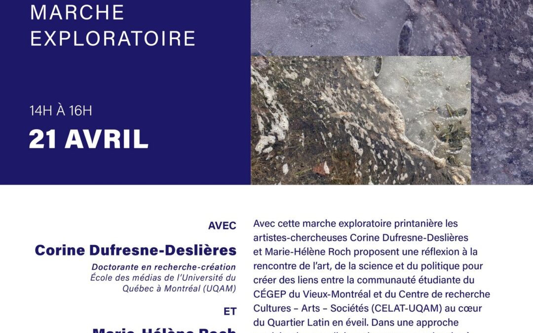 Marche exploratoire Infiltration(s) solastalgique(s)